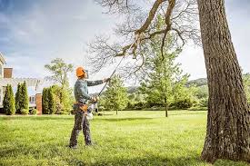 Best Utility Line Clearance  in Osceola, IA